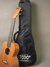 TODO MUSIC UTD-B10T Tenor_13