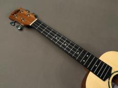 TODO MUSIC UTD-B20T Tenor_5
