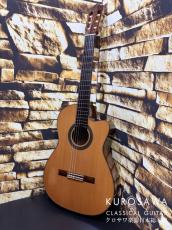 ASTURIAS アストリアス 2015年製 Model:Solo Classico/C 杉・ローズウッド【日本総本店2F 在庫品】