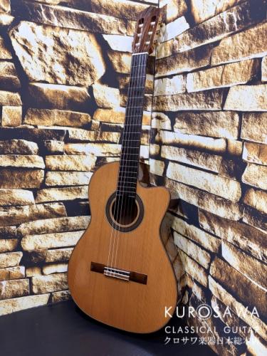 ASTURIAS アストリアス 2015年製 Model:Solo Classico/C 杉・ローズウッド【日本総本店2F 在庫品】