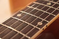 Gibson 1959 ES-225TDN "Blond Finish with Final Model"_4