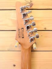 Ibanez Z24S1F-VLS/AZ-Standard_4