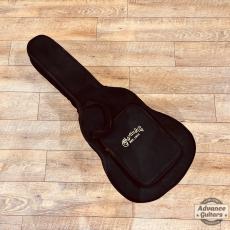 Martin 2017 DJr-E_3