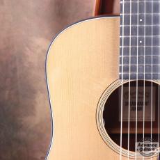 Martin 2017 DJr-E_13