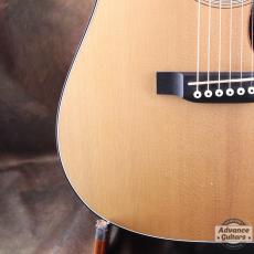 Martin 2017 DJr-E_15