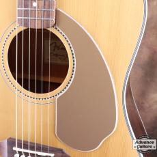 Fender Sonoran S_12