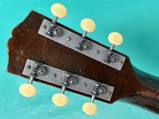 Gibson L-00_6