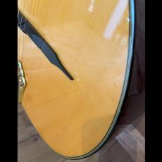 ARIA MM-20 DLX_3