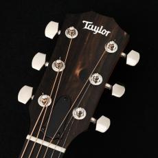 Taylor 214ce-K SB Plus 【48回無金利】【トリファイドスプルース】【細目ネック】【買取・下取強化中!】_3