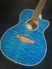 Takamine 【USED】 DMP700 Custom ～凪～ [2014年製][G-Club Tokyo] 