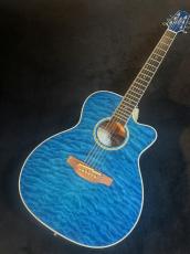 Takamine 【USED】 DMP700 Custom ～凪～ [2014年製][G-Club Tokyo] _2