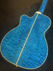 Takamine 【USED】 DMP700 Custom ～凪～ [2014年製][G-Club Tokyo] _3