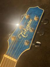 Takamine 【USED】 DMP700 Custom ～凪～ [2014年製][G-Club Tokyo] _4