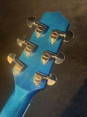 Takamine 【USED】 DMP700 Custom ～凪～ [2014年製][G-Club Tokyo] _5