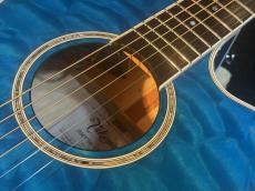 Takamine 【USED】 DMP700 Custom ～凪～ [2014年製][G-Club Tokyo] _8