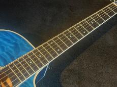 Takamine 【USED】 DMP700 Custom ～凪～ [2014年製][G-Club Tokyo] _9