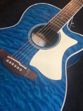 Takamine 【USED】 DMP700 Custom ～凪～ [2014年製][G-Club Tokyo] _12