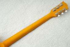 Edwards E-LS-JR-LTD -TV Yellow- #ED1301263 【数量限定生産モデル】_8