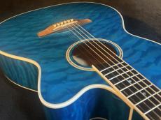 Takamine 【USED】 DMP700 Custom ～凪～ [2014年製][G-Club Tokyo] _13