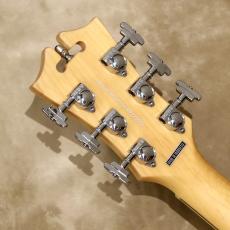 D'Angelico Premier Series Premier Brighton, Sky Blue_5