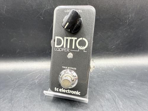 tc electronic Ditto Looper