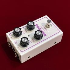 REVV Amplification Dirt Dog_5