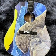 Martin D Biosphere III 【2025年最新モデル】