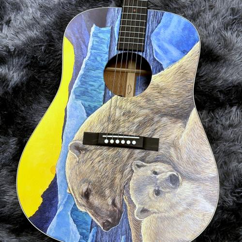 Martin D Biosphere III 【2025年最新モデル】
