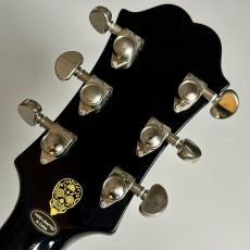 Epiphone 【中古】Ltd Ed Shinichi Ubukata ES-355 Custom Outfit【現物写真】_9