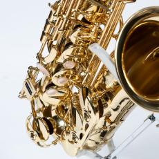 H. Selmer SA802Jubilee GL シリーズ2 アルトサックス Eb ゴールドラッカー 彫刻入りスーパーアクション80　シリーズI_3