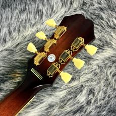 Epiphone Masterbilt Frontier Iced Tea Aged Gloss_9