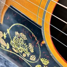 Epiphone Masterbilt Frontier Iced Tea Aged Gloss_10