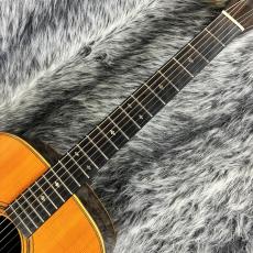 ASTURIAS D.Custom 2000年製_4