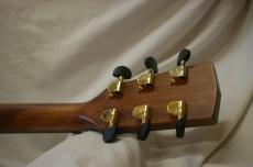 Cort GA-PF Bevel NAT_4