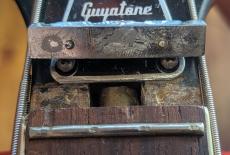 Guyatone VB-28_10