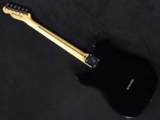 Fender TL-Micky 2010_6