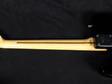 Fender TL-Micky 2010_8