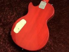 Epiphone Slash Appetite Les Paul Special-II Performance Pack Appetite Amber_4