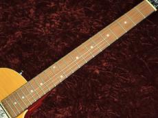 Epiphone Slash Appetite Les Paul Special-II Performance Pack Appetite Amber_5