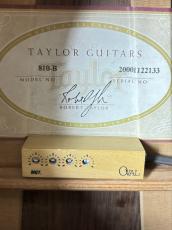 Taylor 810B 2000年製 #20001122133【ハカランダサイドバック】_11