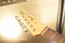 Fender 2017 Traditional 70s Telecaster Ash (Surf Green)_7
