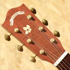 Headway HC-SAKURA/STD 2010s_8