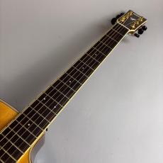 YAMAHA FSX875C_3