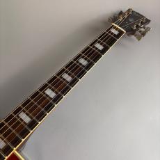 Gibson Hummingbird Custom_3