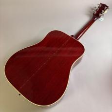 Gibson Hummingbird Custom_6