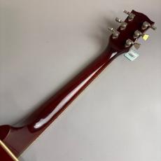 Gibson Hummingbird Custom_7