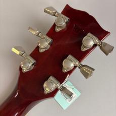 Gibson Hummingbird Custom_8