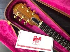 Gibson Chet Atkins SST　1989年　チェットアトキンス　ライト・ヴィンテージ_2