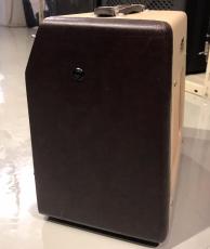Fender Champion 600_4