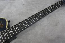 Valley Arts M-Series TL Type 【初期ロットVAシリアル】_8